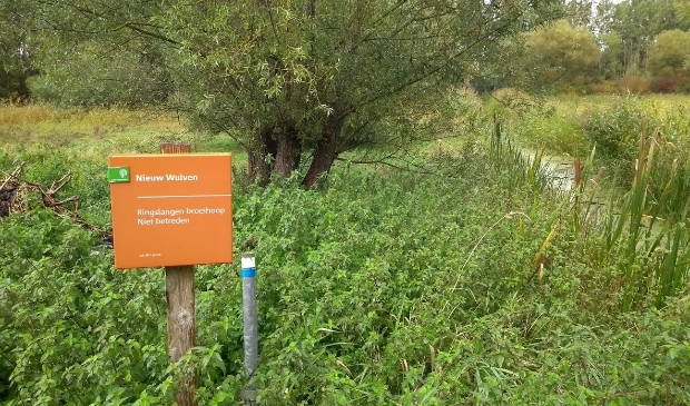 <p>Bos Nieuw Wulven</p>