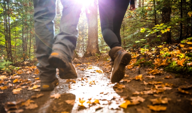 Goede wandelschoenen zijn belangrijk.