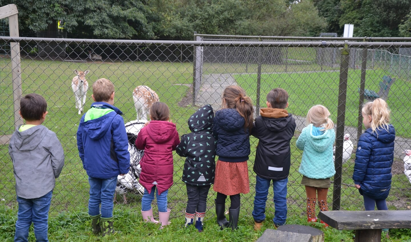 De kinderen zijn net zo nieuwsgierig als de hertjes