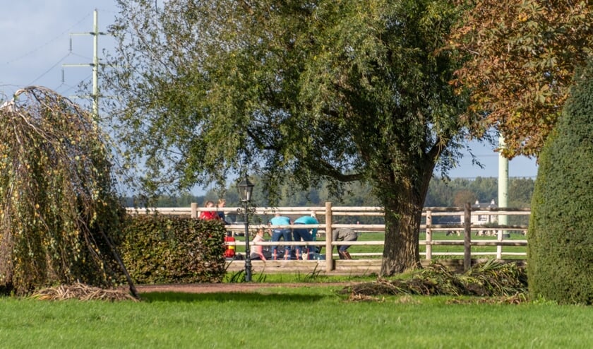 Afbeelding