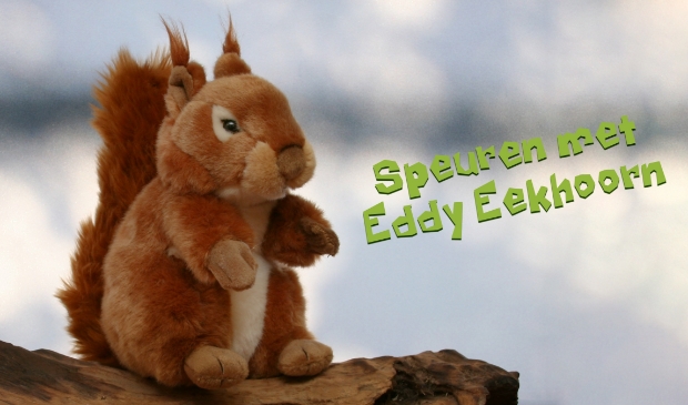 Speurtocht Speuren met Eddy Eekhoorn