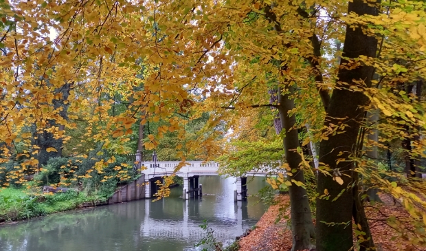 <p>Het bruggetje over de Kromme Rijn bij Amelisweerd</p>