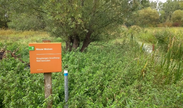 <p>Bos Nieuw Wulven</p>