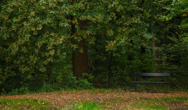 <p>Ruimte voor nieuw bos en een woning op terrein voormalig recreatiepark.</p>