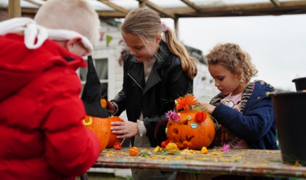 <p>Aan de slag met pompoenen in aanloop naar Halloween.</p>