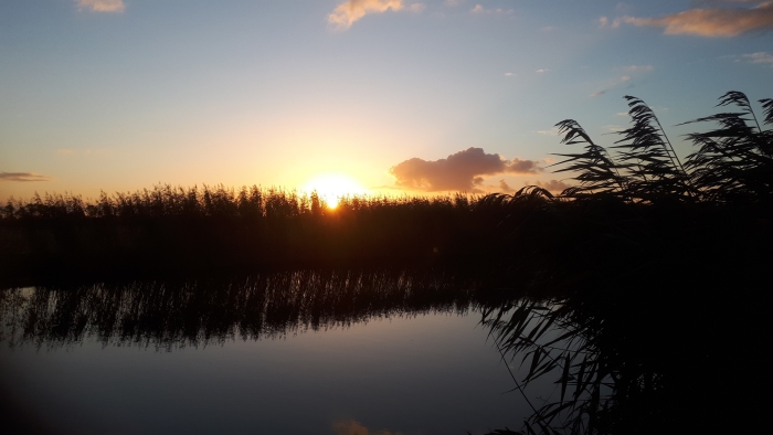 Peursumsevliet opkomende zon