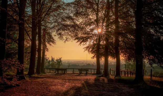 <p>Kwintelooijen in Rhenen, Roberts' leukste plek #opdeheuvelrug</p>