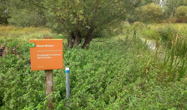 <p>Bos Nieuw Wulven</p>