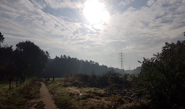 Lichtinval in het Edese Bos.