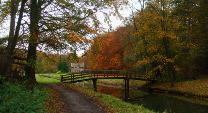 Middenduin in de herfst