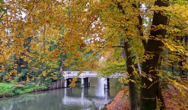 <p>Het bruggetje over de Kromme Rijn bij Amelisweerd</p>