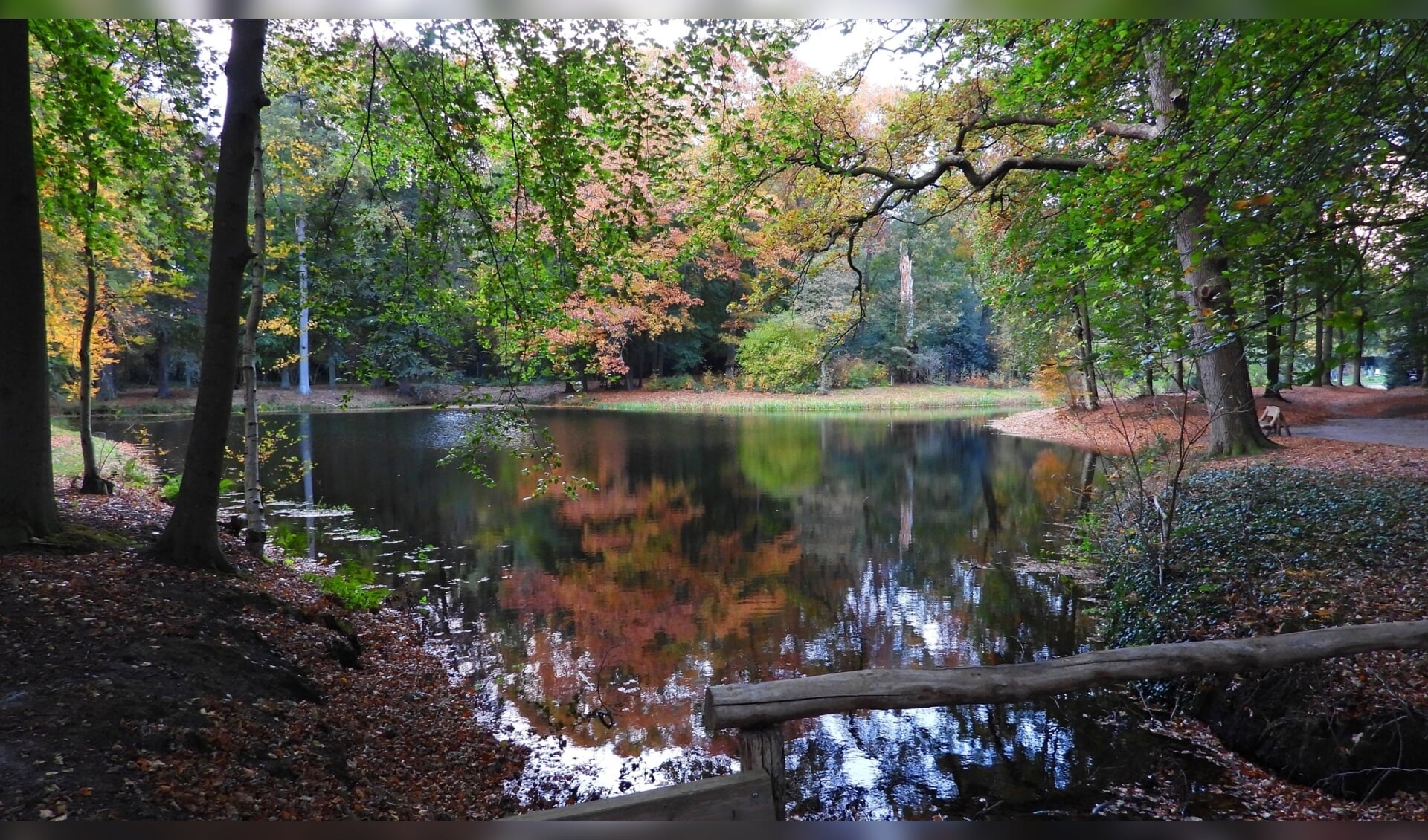 Vijver met herfstkleuren in kasteelpark Renswoude.