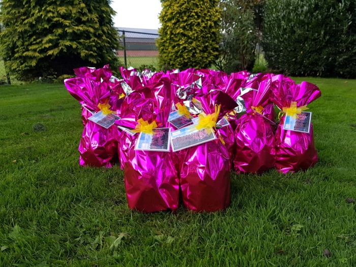 Dit zijn de grote roze eieren die door heel Nederland te vinden zijn