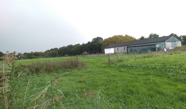 <p>Dit uitzicht van de wandelaar vanaf de Kromme Rijn blijft voorlopig hetzelfde. </p>