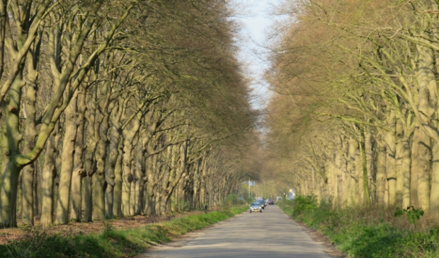 Broekhuizerlaan