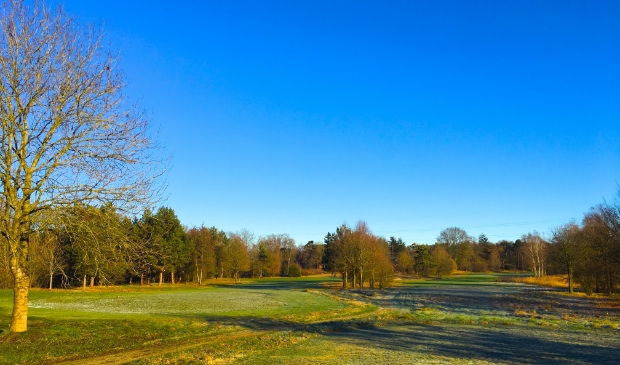 <p>Op de fraai gelegen 'greens', 'tees' en 'fairways' van golfcourt Edda Huzid in Voorthuizen wordt inmiddels 2,5 jaar niet meer gespeeld.</p>