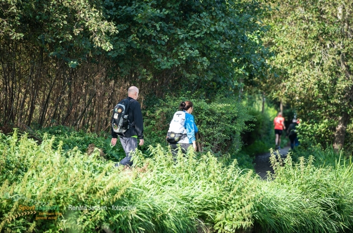 Deelnemers tijdens de Teva Halve van Haarlem Walk
