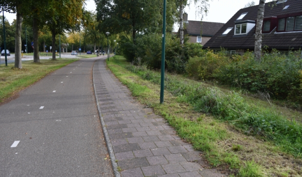 Voorbeeld van een 'sinus'-gemaaide berm.