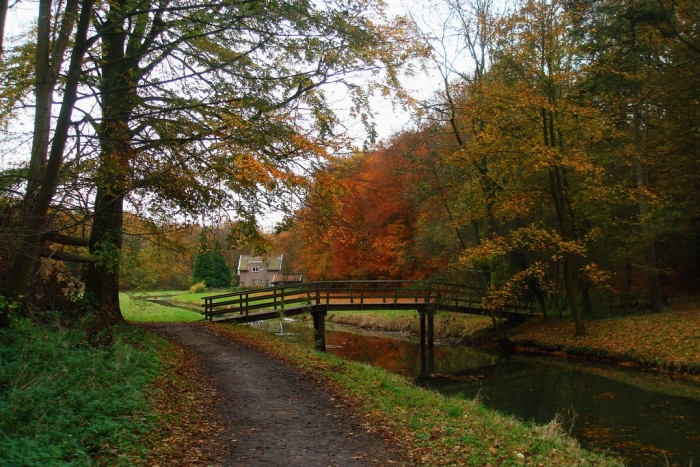 Middenduin in de herfst