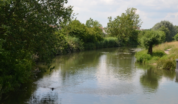 Bij natuurgebied Vikinghof