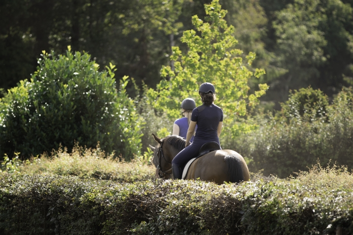 Prachtig buitenrijden bij Paardenhotel Putten