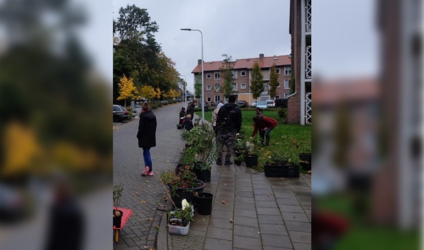 <p>Buurtbewoners 'scharrelen' tussen de plantjes.</p>