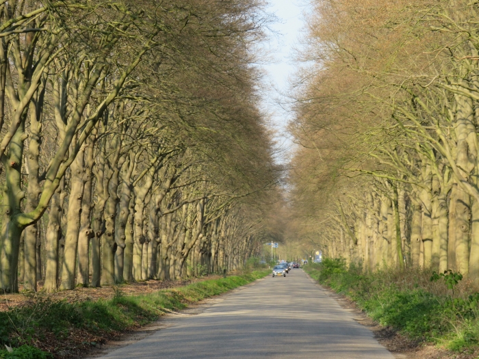 Broekhuizerlaan