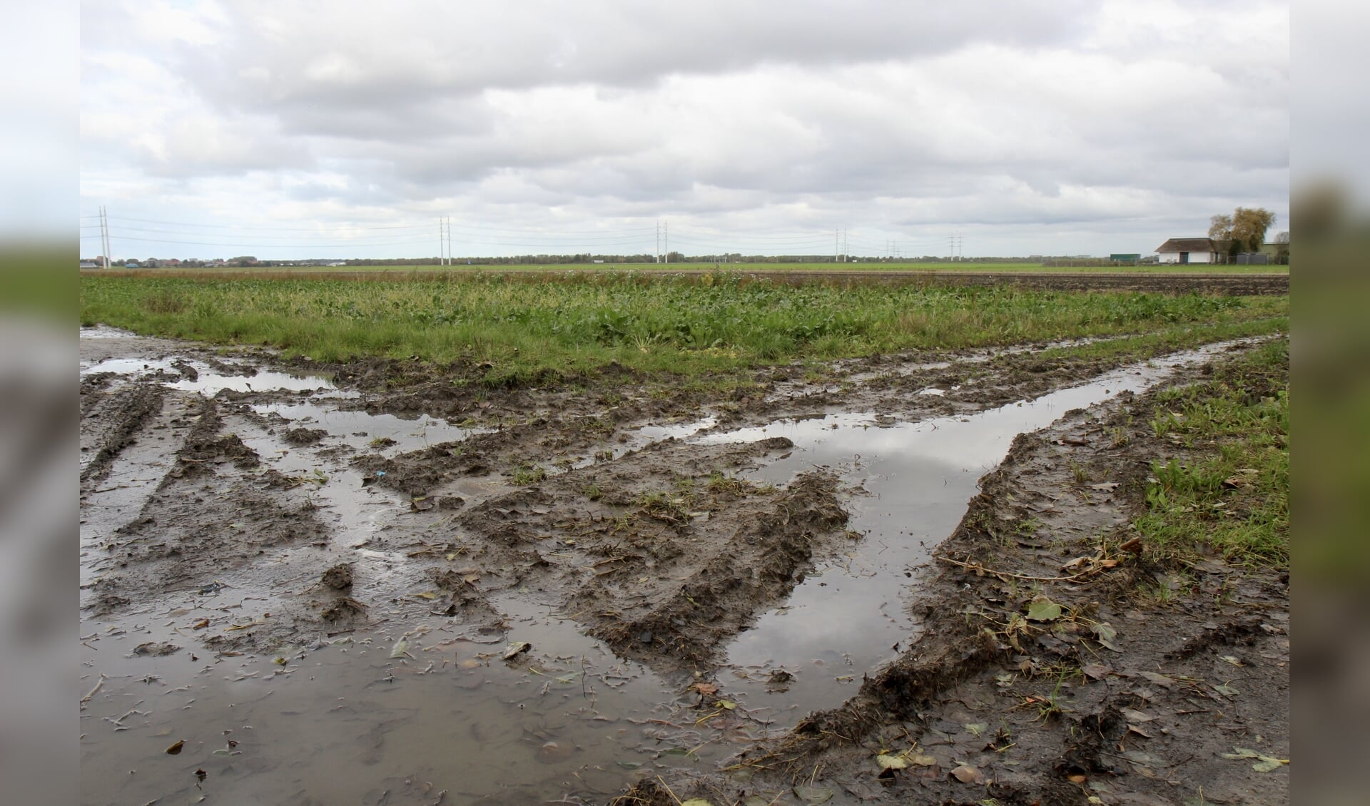 Bij hevige waterval staat de omgeving van Nieuw-Vennep snel onder water.    