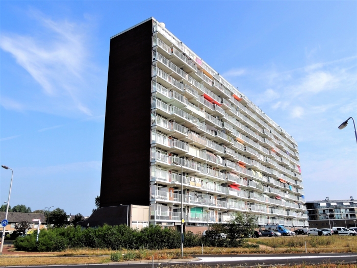 Zeewijk