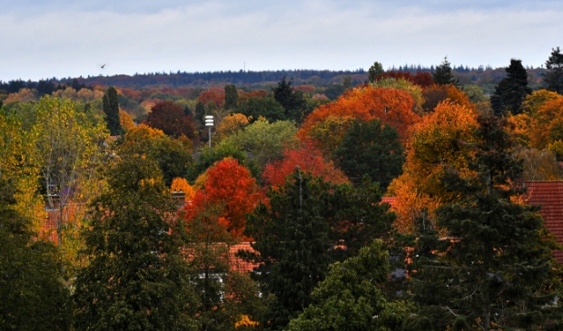 <p>Indian Summer bij Lunteren.</p>