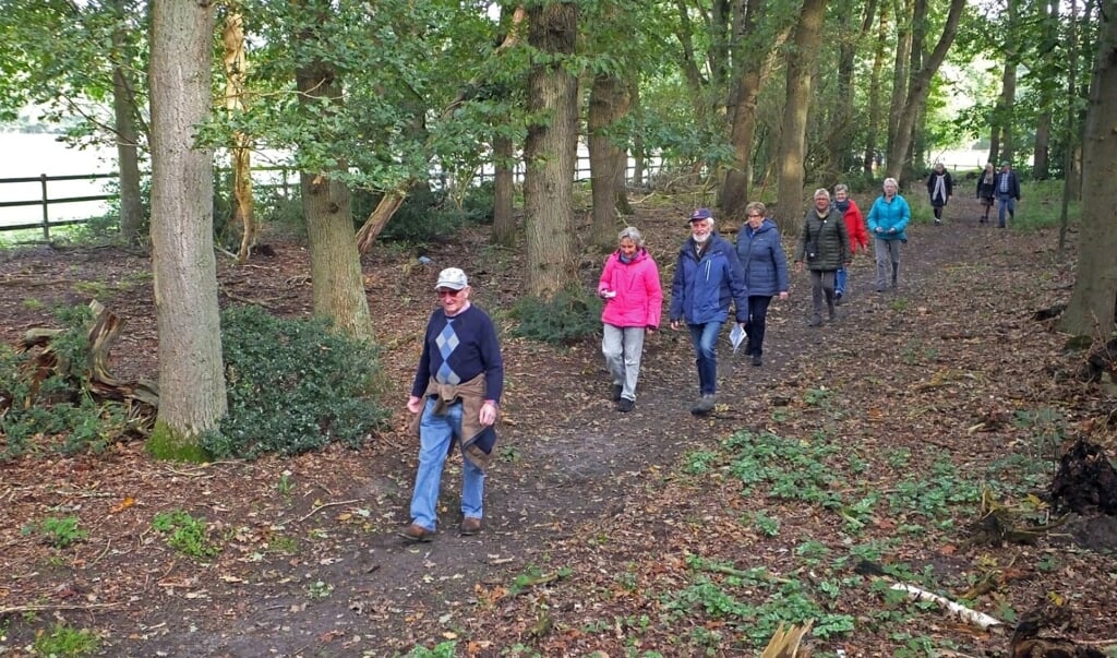 Een groep wandelaars in het gebied rondom Kootwijk.
