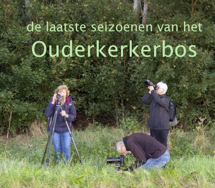 de fotografen in het Ouderkerkerbos
