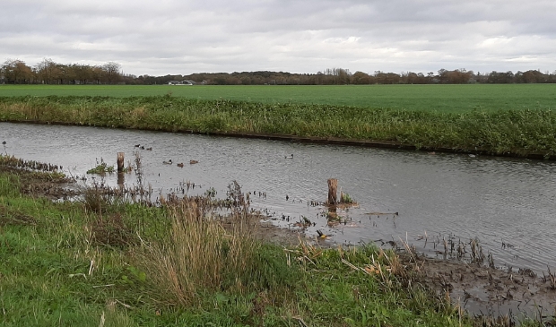 <p>Langs de Krommerijn</p>