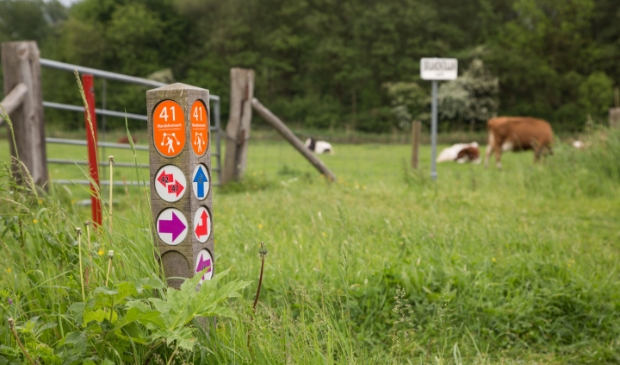 <p> De routepaaltjes met pijlen wijzen wandelaars eenvoudig de weg doorWandelnetwerk Amstelland.</p>