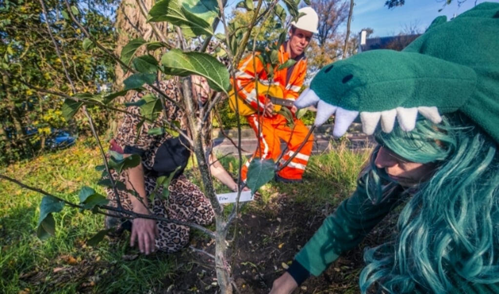 Actievoerders planten een fruitboom