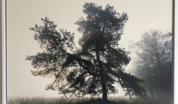 Natuurfoto door Rob