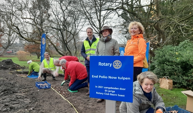 Rotary Baarn-Soest koos het Cantonspark als locatie voor het poten van ruim duizend End
Polio Now-tulpen. Voorzitter Gerda Bangma (in oranje jas): ,,Als de tulpen straks bloeien, bestaat
onze club precies 65 jaar."