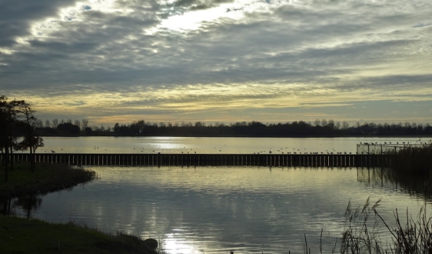 Rust en vrijheid bij de Toolenburgse plassen
