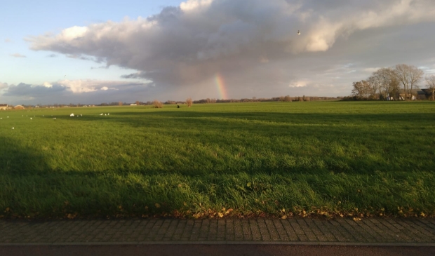 <p>Herfstlucht aan de Binnenweg</p>