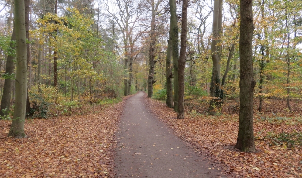 Het bos alwaar iedereen welkom blijft.