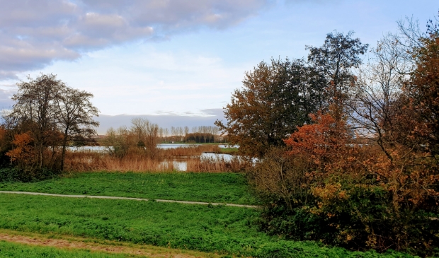Herfstwandeling