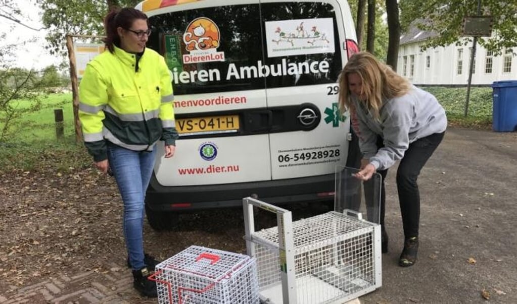 Dierenambulance