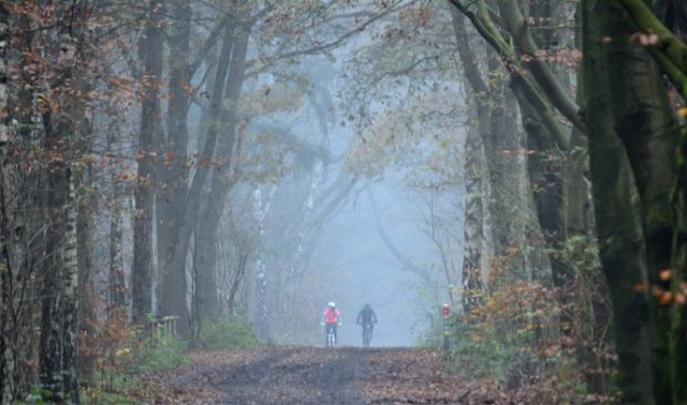<p>Mountainbikers in de mist op Goudsberg</p>