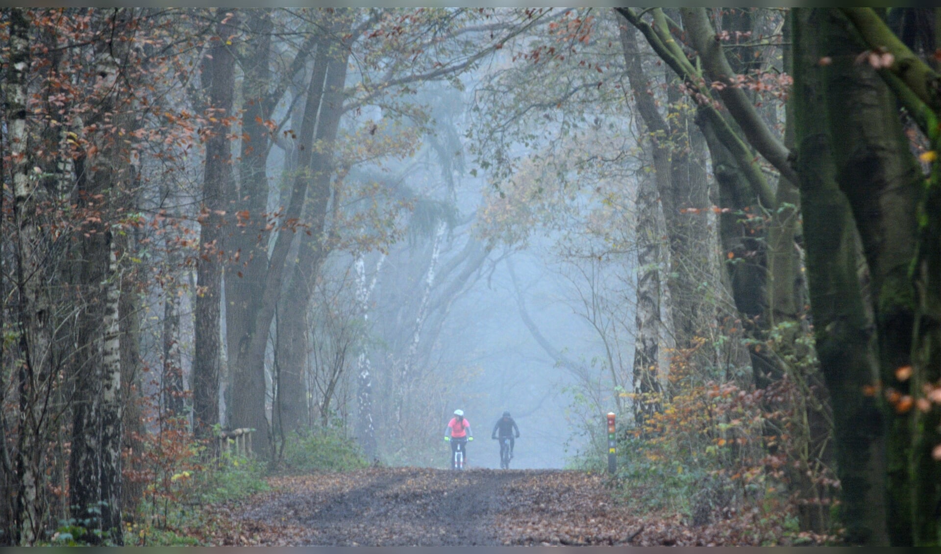 Mountainbikers in de mist op Goudsberg