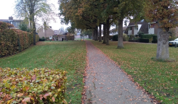 <p>Eikenpad</p>