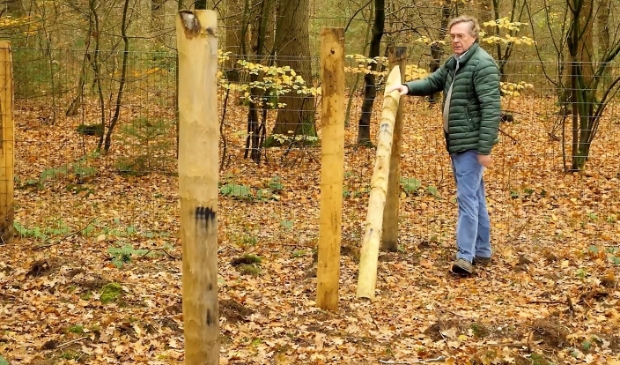 <p>Per Insinger bij een het hondenuitlaat terrein in aanleg.</p>