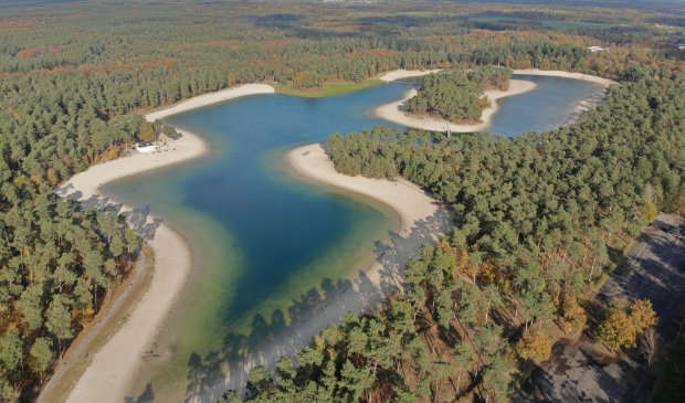 <p>,,Als deze plannen doorgang vinden is het voor altijd gedaan met het ongerepte bos.''</p>