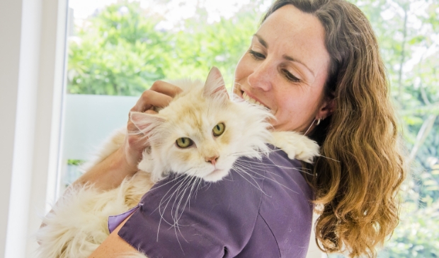 Dierenarts Kim van Landzaat van Dierenkliniek Kattenbroek met een kat