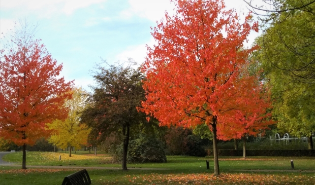 park Schothorst
