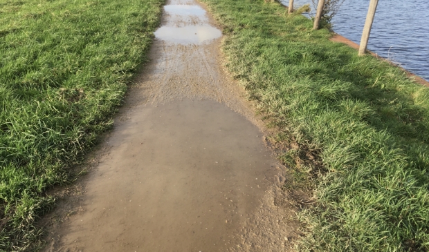 Flinke plassen